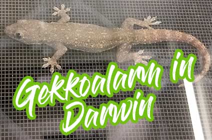 Darwin-thumbnail